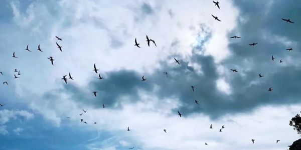 宏工團建 | 團結×力量 無一可落單